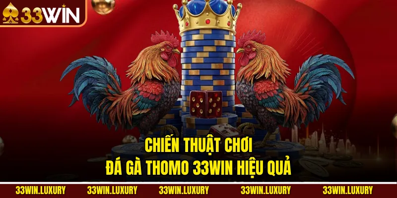 Chiến thuật chơi đá gà thomo 33win hiệu quả