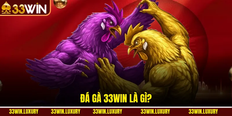 Đá Gà 33win là gì?